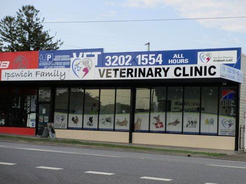 ipswich family vet clinic image